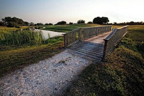Property grounds - Lodge Guest - Westgate River Ranch, Rodeo Show (River Ranch)