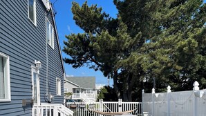 A backyard with a white fence, a hammock, wicker furniture, and a large tree. - Perfect 4-bedroom house in Ocean City, NJ - with Pool (Ocean City)