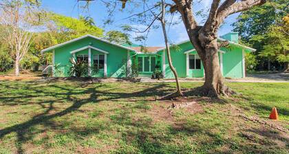 Upscale Tropical Hideaway for Families & Groups. Pet-Friendly!