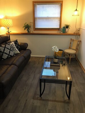 Smart TV, books - Pleasant Mother In-Law Suite with AC in Inver Grove Heights.  Private driveway (Inver Grove Heights)