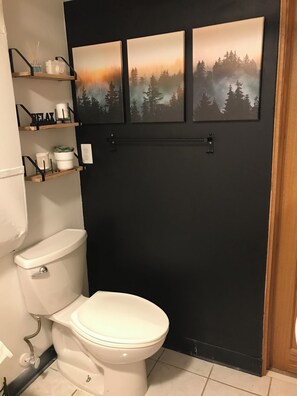 Jetted tub, hair dryer, towels, soap - Pleasant Mother In-Law Suite with AC in Inver Grove Heights.  Private driveway (Inver Grove Heights)