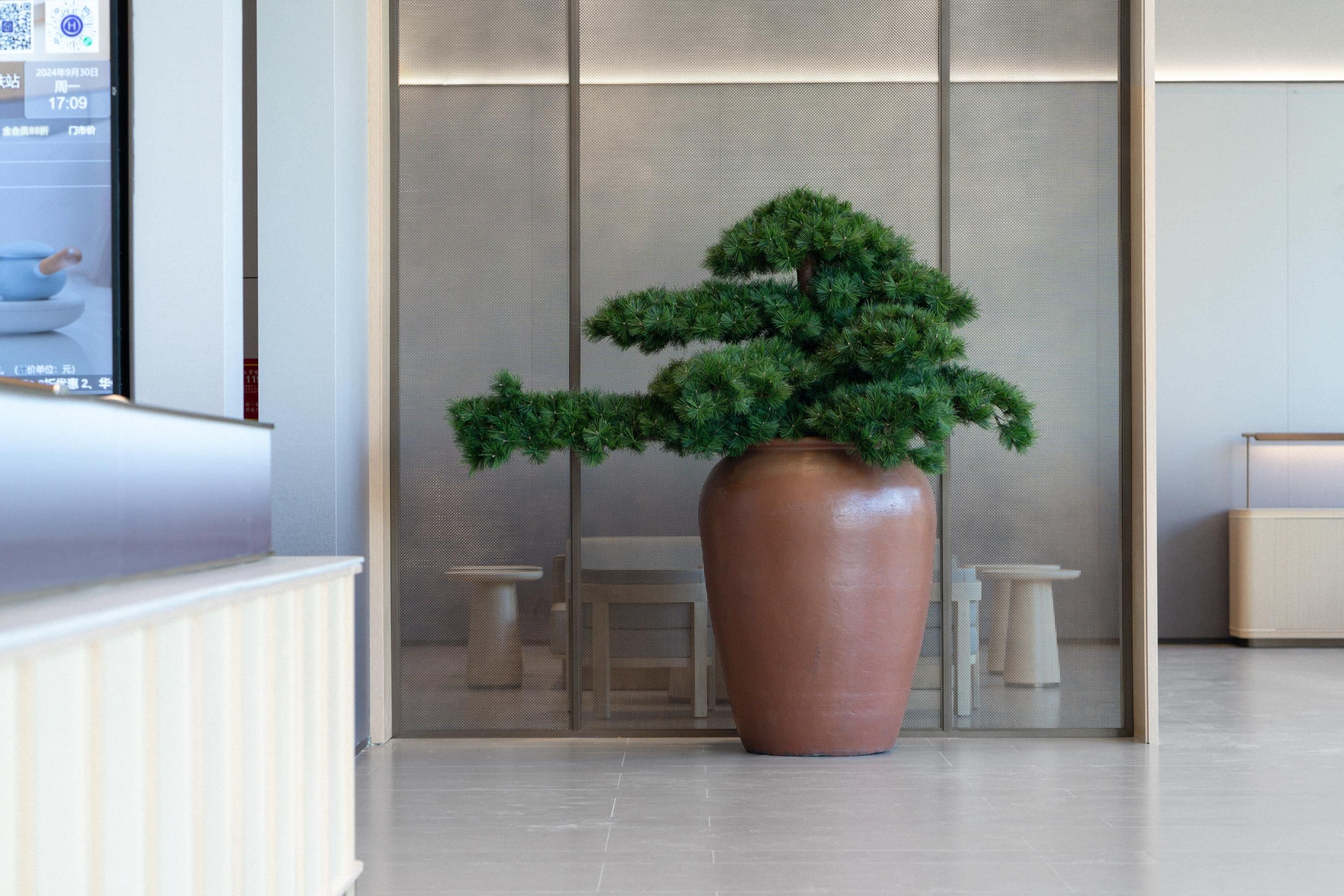 Un área de recepción con un gran bonsái en maceta, un mostrador de recepción y una zona de estar con taburetes.