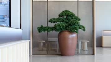 Un área de recepción con un gran bonsái en maceta, un mostrador de recepción y una zona de estar con taburetes.