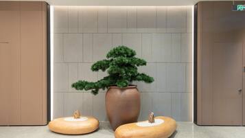 Eine moderne Lobby mit einem großen Kübelbaum, zwei hölzernen Hocker und einer Wand mit eingelassener Beleuchtung.