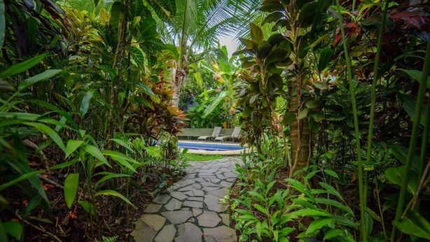 A stone pathway leading to a pool surrounded by lush tropical vegetation. - Entire Property, Great Location,Daily Housekeeping,Concierge (Quepos, Manuel Antonio)