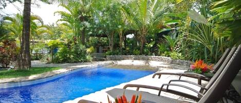 A swimming pool surrounded by lush greenery and palm trees.