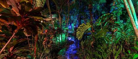 Un jardín nocturno con fuente de agua y plantas iluminadas.