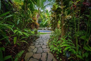 A stone pathway leading to a pool surrounded by lush tropical vegetation. - Amazing Location, Daily Housekeeping, Concierge (Quepos, Manuel Antonio)