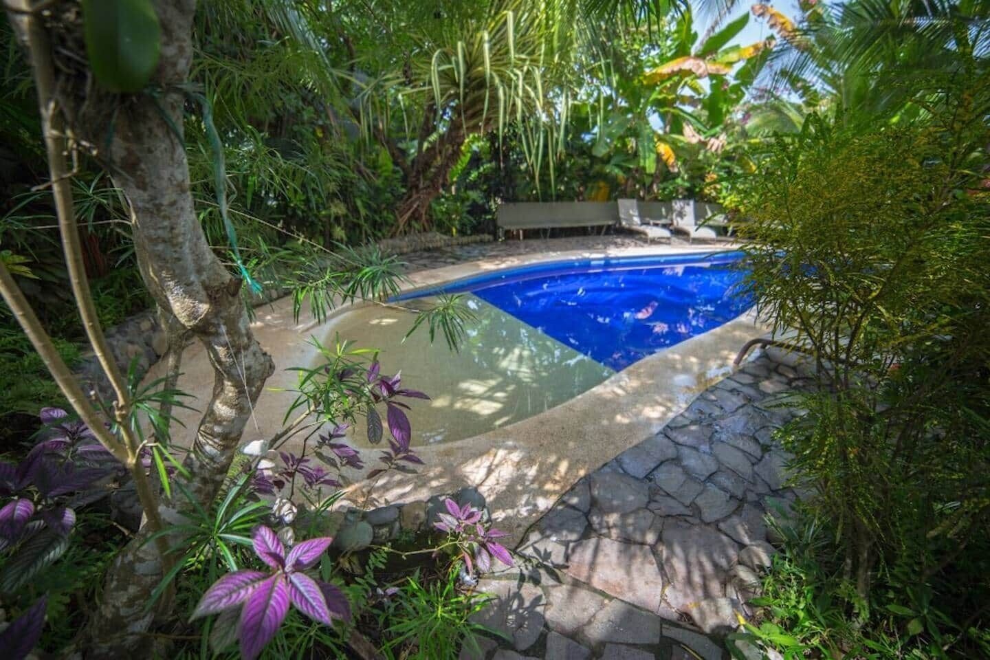 A swimming pool surrounded by lush greenery and stone pathways.