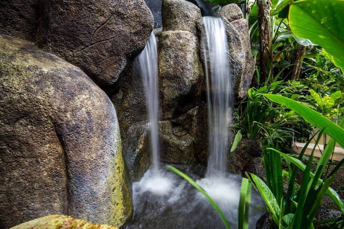 Ein Wasserfall mit großen Felsen und üppiger Vegetation.