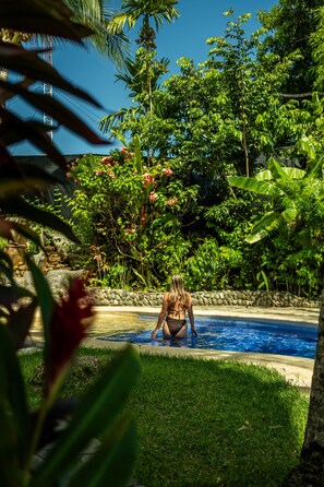 A pool surrounded by lush greenery and a stone wall.