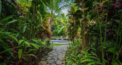 Pool, Great Location, Daily Housekeeping, Concierge