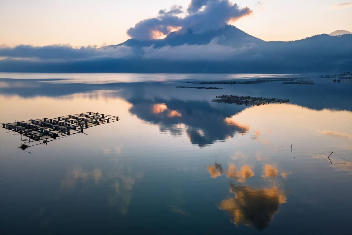 Lake view