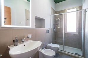 Shower, hair dryer, bidet, towels