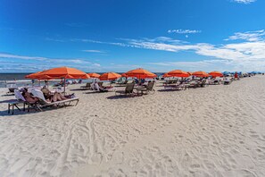 Playa en los alrededores 