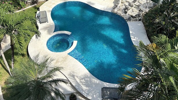 Una piscina con solárium de piedra, rodeada de palmeras y césped.