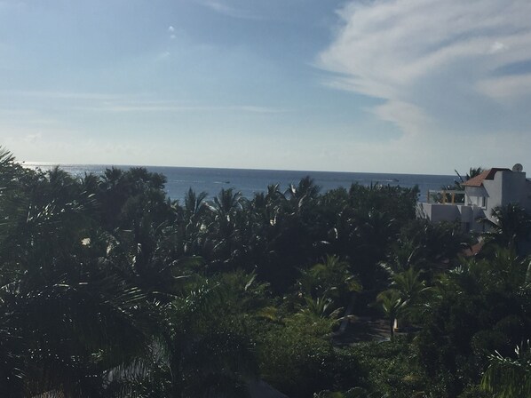 A coastal view with palm trees and a building with a satellite dish. - Four Bedrooms and large private pool steps from Paradise Beach (San Miguel de Cozumel)