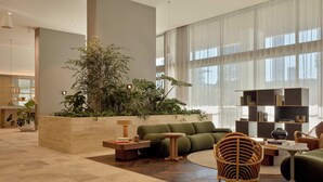 A spacious living area with a large plant, a green sofa, a wicker chair, and a bookshelf.