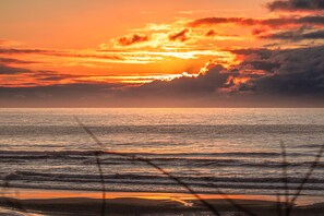 Beach nearby, sun-loungers