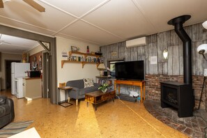 TV, fireplace, books
