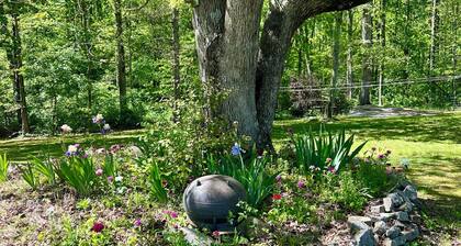 Peaceful Lookout Mountain Retreat Near Cloudland Canyon