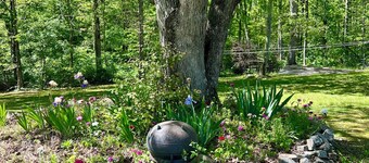 Peaceful Lookout Mountain Retreat Near Cloudland Canyon