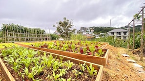 Vista para o jardim