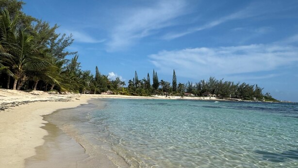 Une plage avec une eau claire et peu profonde, un rivage sablonneux et une rangée d’arbres en arrière-plan.
