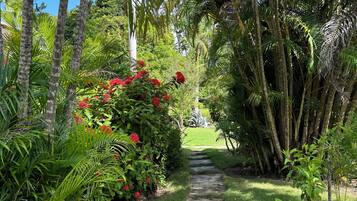 Áreas de la propiedad