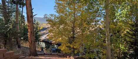 Terrain de lâhĂ©bergement