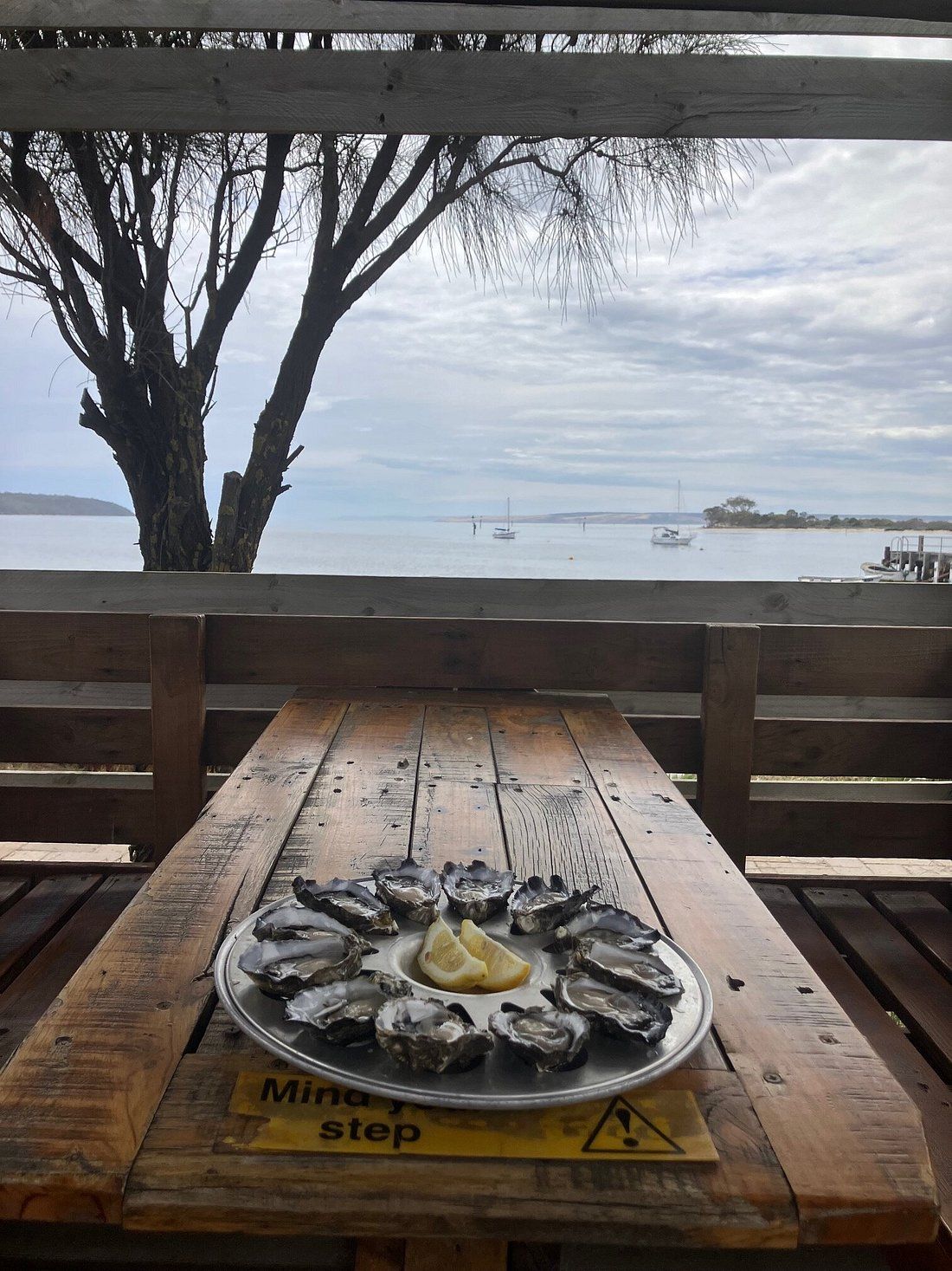 A wooden picnic table with a plate of oysters and lemon slices, overlooking a calm body of water with boats.