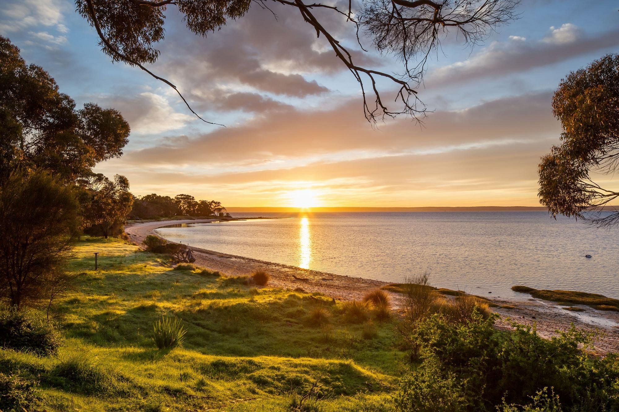 Eine Küstenlandschaft mit Sonnenuntergang über dem Wasser, Bäumen und einer grünen Wiese.