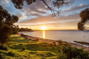 A coastal landscape with a sunset over the water, trees, and a grassy area.