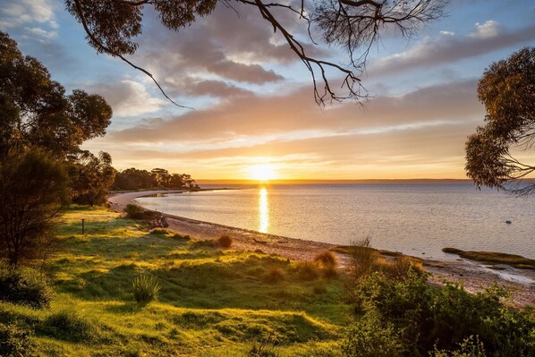 A coastal landscape with a sunset over the water, trees, and a grassy area.