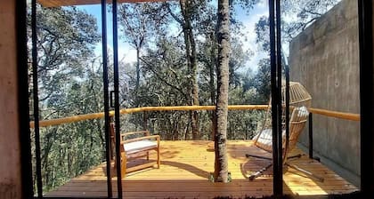 Nordic chalet in the middle of the forest