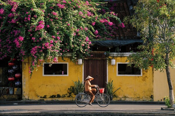 City view from property - CocoPalm Hoi An River Beach By JM Villas (Hoi An)
