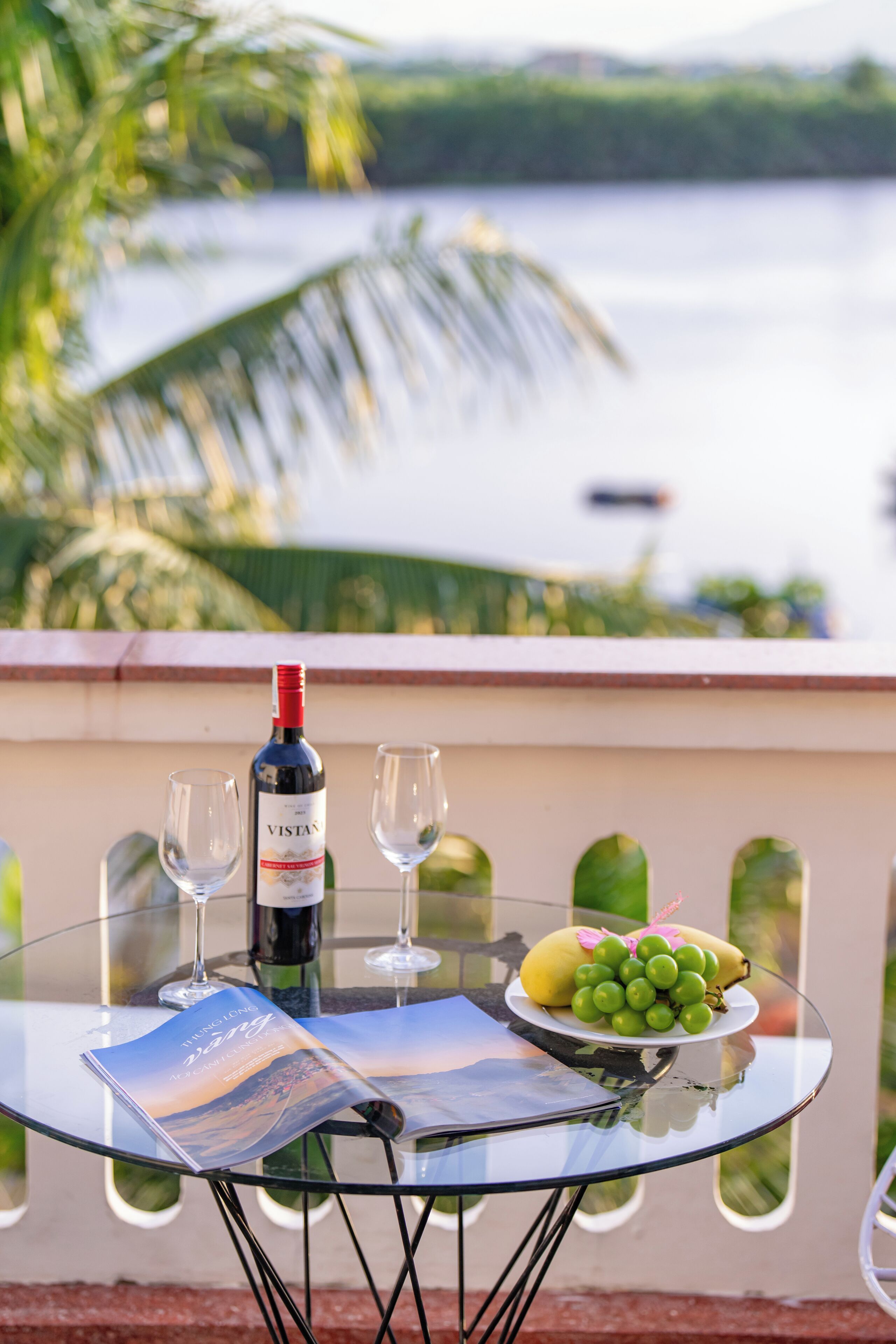 Ein Glastisch mit einer Flasche VISTAN Wein, zwei Gläsern, einem Teller mit grünen Trauben und einer Broschüre. Der Balkon bietet Blick auf ein Gewässer mit Palmen.