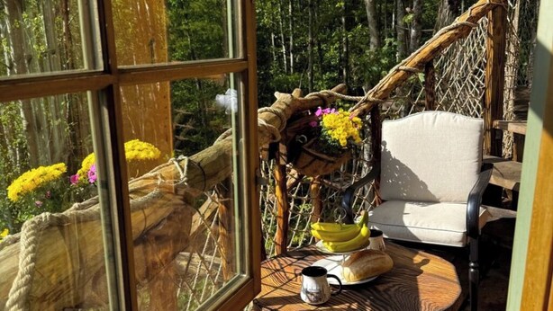 A rustic wooden table with a woven chair, a hammock, and a view of a forest through a large window. - Charming TREEHOUSE in remote location (Braintree)