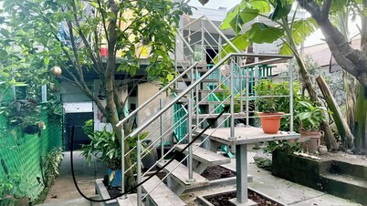 Cozy Modern Room, Private Entrance - San Salvador