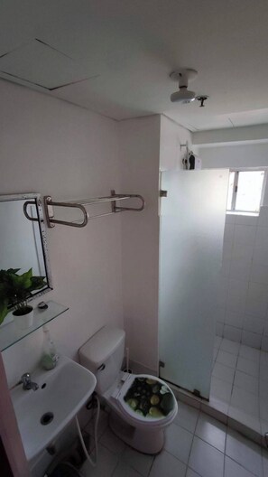 Bidet, toallas, jabón, papel higiénico