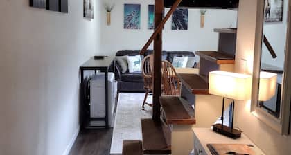 Aurora Moose Getaway - a cozy & private cabin great for northern lights & moose