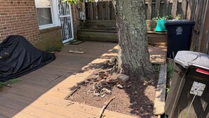 Ein Garten mit einer Holzterrasse, einem Baum, einer Mülltonne und einem Zaun.