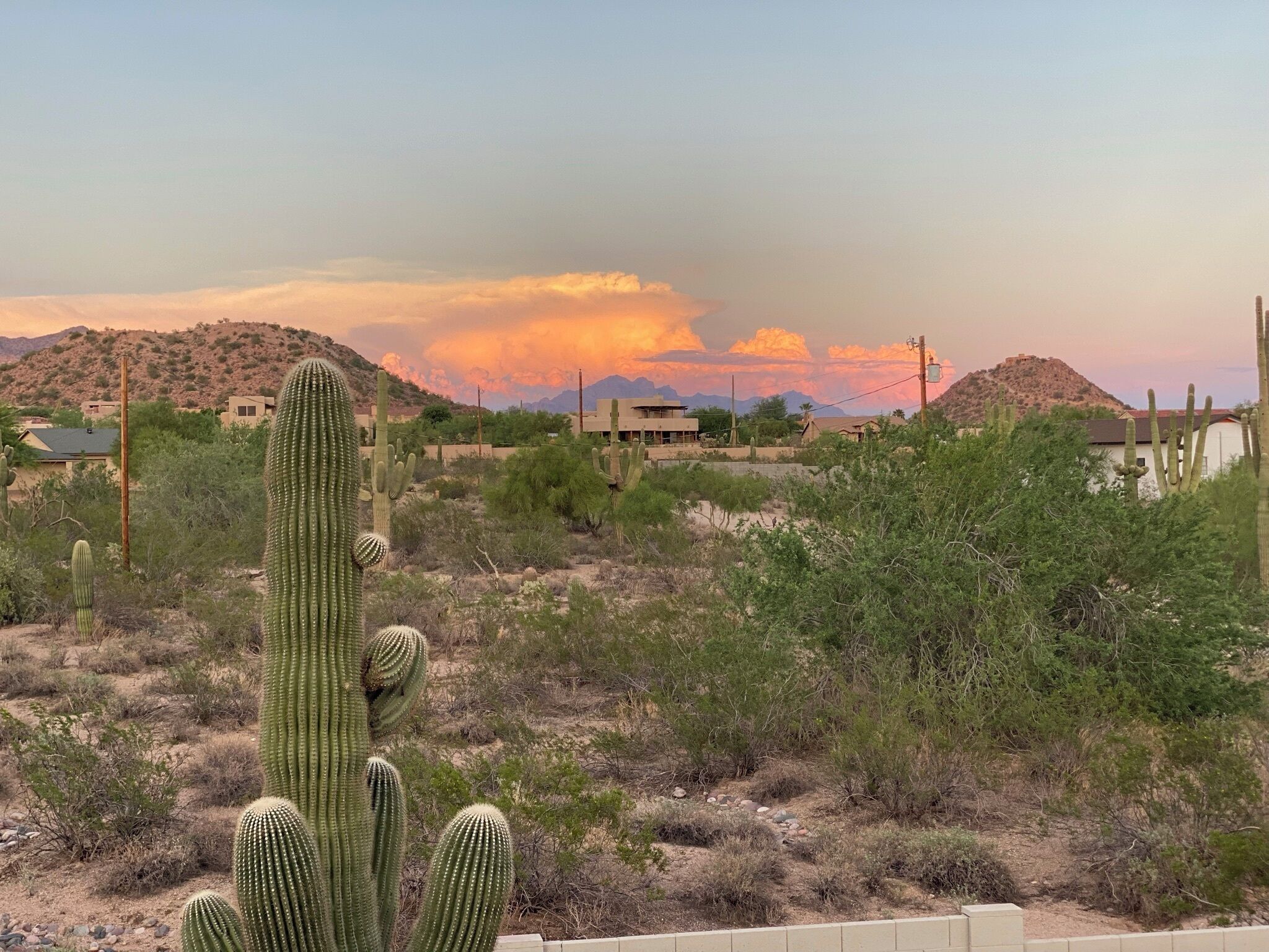 Woestijnlandschap met cactussen en schaarse begroeiing, enkele gebouwen op de achtergrond en een zonsondergang.