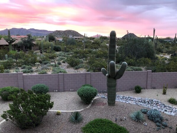 Property grounds - Diamond in the Desert !! A Private Oasis with Family and Friends (Mesa)