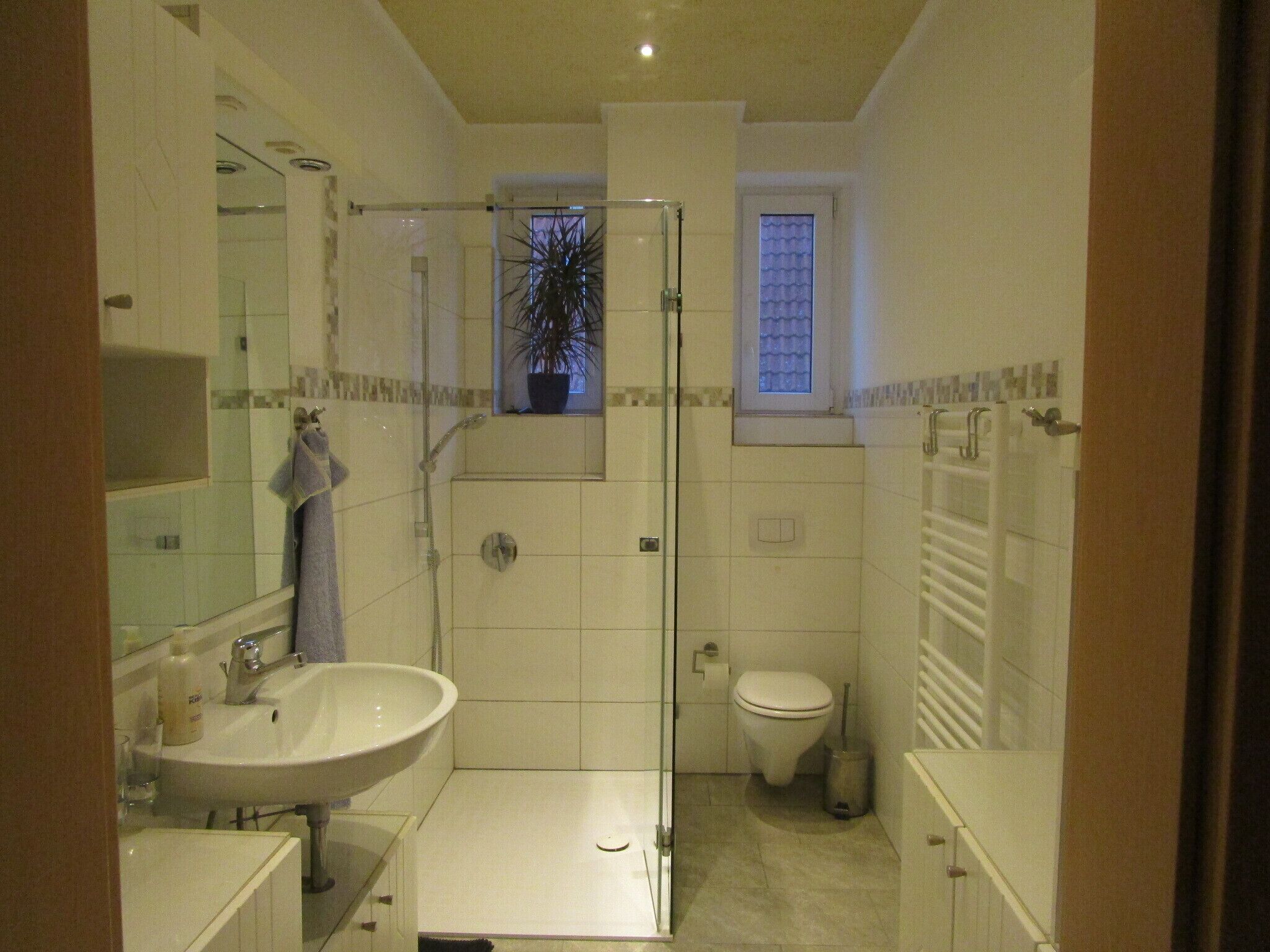 Shower, towels, soap, toilet paper