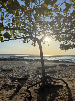 Sun loungers, beach towels