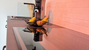 A kitchen with a black countertop, a fruit basket, and a wall-mounted coffee machine. - Exclusive whirlpool apartment & mountain view (Steinhöring)
