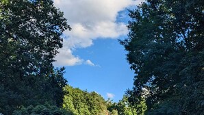 A parking area with trees and a clear sky.