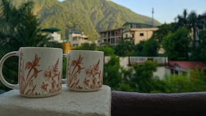 未分類圖片，第 4 張 (共 19 張)，按鈕