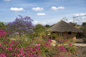 Jardines del alojamiento